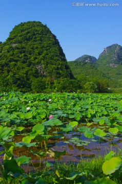 美丽乡村素材