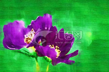 花卉裝飾畫