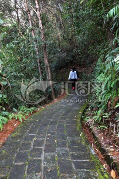 山间小路