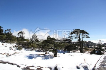 轿子雪山