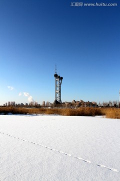 湿地 芦苇 冬天 观光塔 白雪