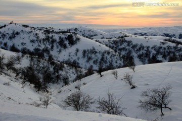 冬季雪景