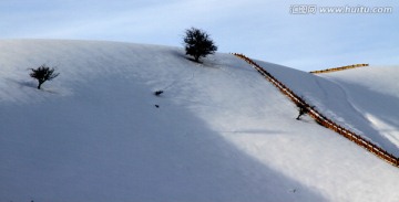 冬季雪景