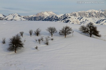 冬季雪景