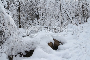 雪谷