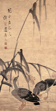 邊壽民 蘆雁圖 未分層