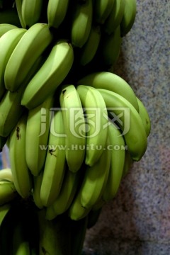水果 香蕉 泰国香蕉