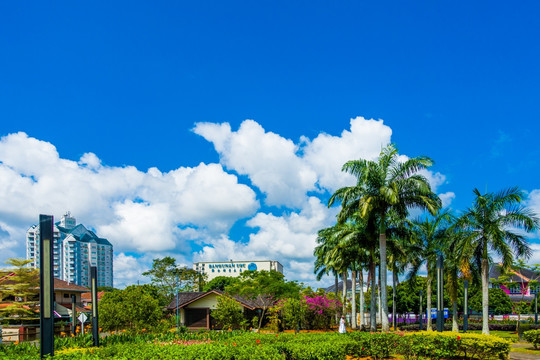 马来西亚景观