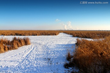 湿地 冬天 白雪 自然 生态