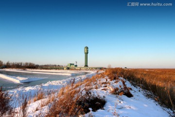 湿地 冬天 白雪 自然 生态