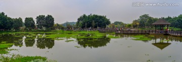 宽幅湖岸风光