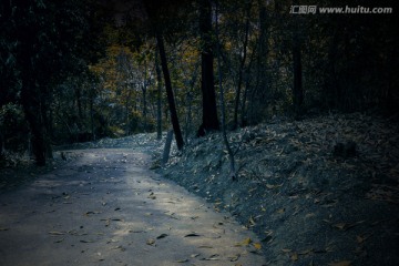 神秘的林中小路