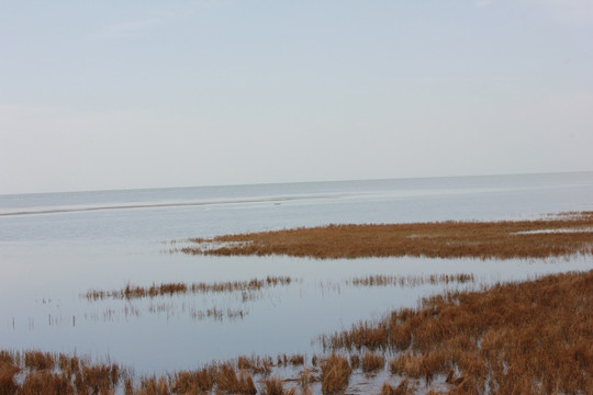 青海湖