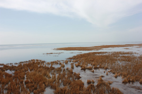 青海湖