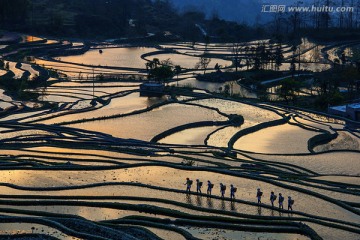 元阳风光 梯田