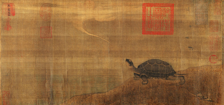 張珪 神龜圖 未分層