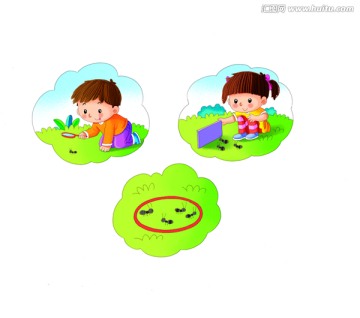 觀察螞蟻2