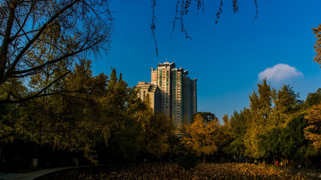 四川大学