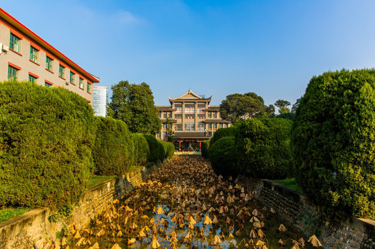 四川大学