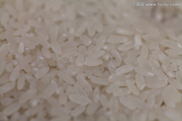 米粒 生米