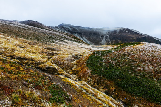 长白山 霜