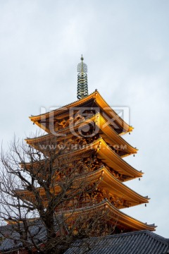 浅草寺五重塔