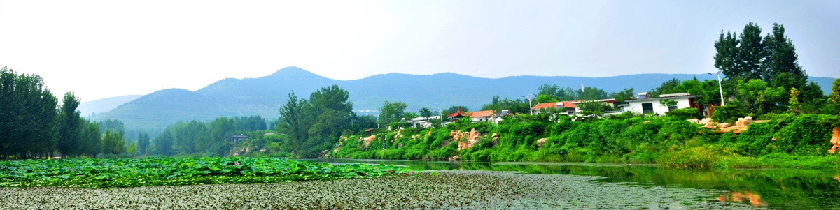 河岸风景   荷花池