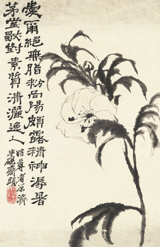 豎幅高清花鳥國(guó)畫 畫廊專供