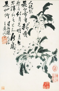豎幅高清花鳥國畫 畫廊專供