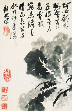 豎幅高清花鳥國畫 畫廊專供