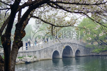 公園春天