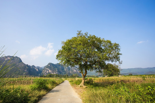 英西小桂林风光