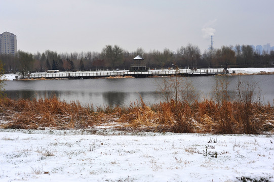 蒲河岸边雪景