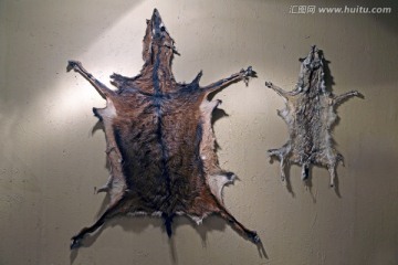 獸皮