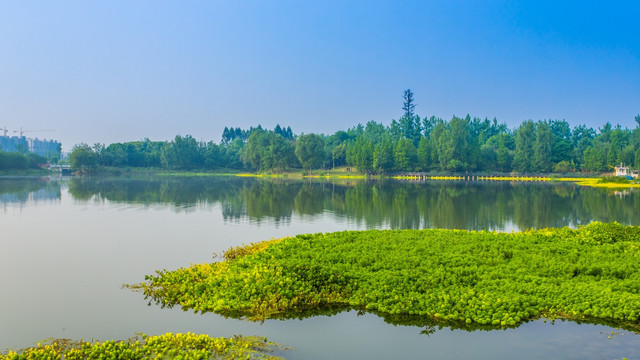 双流湿地公园