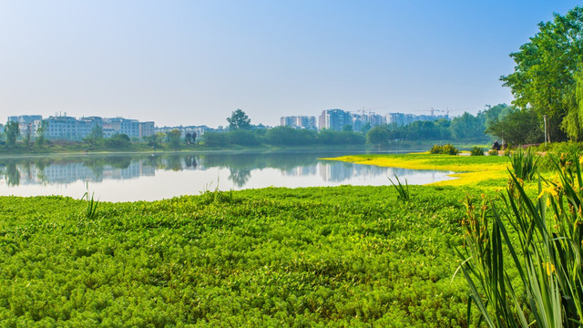 双流湿地公园