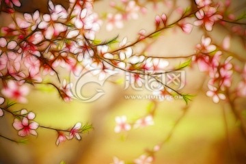 花卉裝飾畫 桃花枝