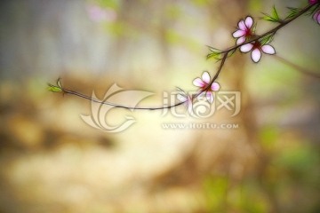 花卉裝飾畫 桃花枝 不分層