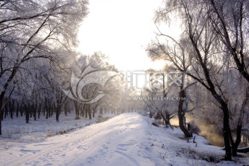 雪中小路