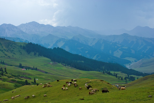 山区牧场