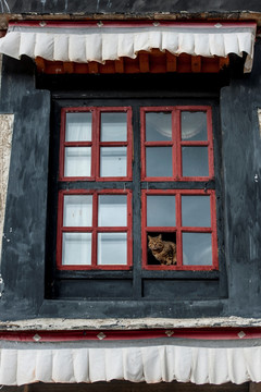 西藏 寺院 庙宇 窗户 高清晰