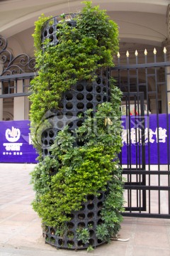 綠色植物造型柱