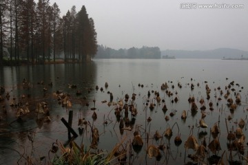 梅园风景