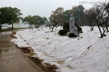 梅园风景