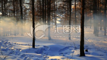 雪原树林雾气