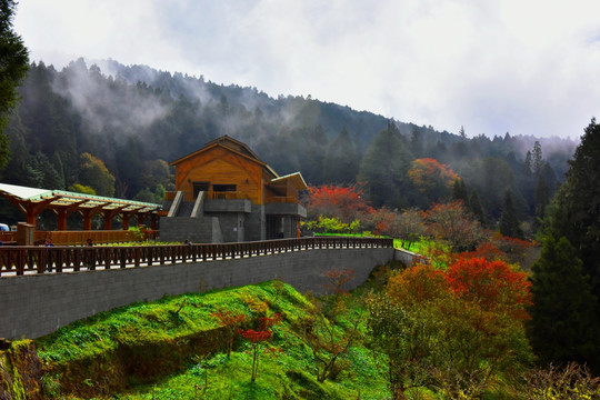 台湾阿里山风光