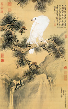 郎世寧 白鷹圖 未分層