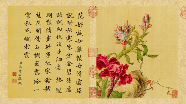 郎世寧 花鳥圖冊(cè)雞冠花 未分層