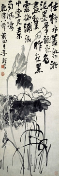 李復堂 荷花圖 未分層