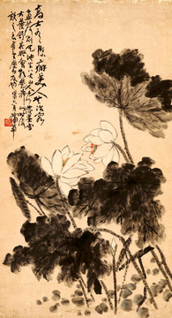 蒲華 荷花圖 未分層
